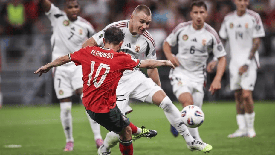 贝尔纳多, 常重要的比 贝尔纳多, 常重要的比